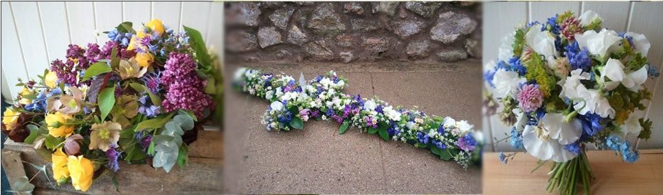 Funeral Directors In Wellington